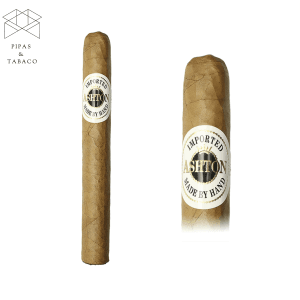 Ashton: Classic Corona