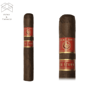 Rocky Patel: Sun Grown Petite Corona
