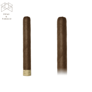 Rocky Patel: The Edge Corojo Toro