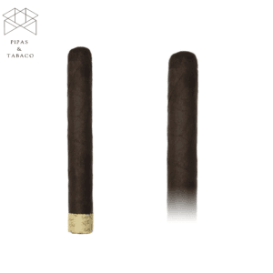 Rocky Patel: The Edge Maduro Toro
