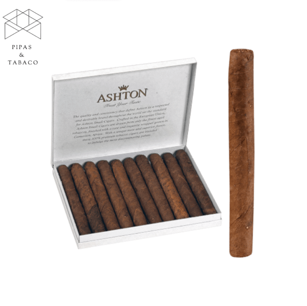 Ashton: Señoritas 10